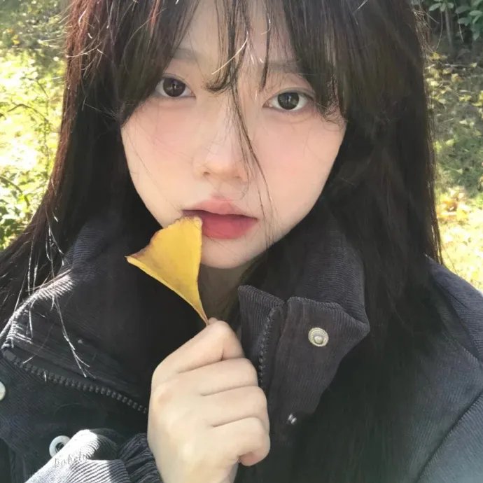 鼹鼠之歌